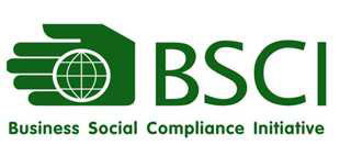 bsci.jpg