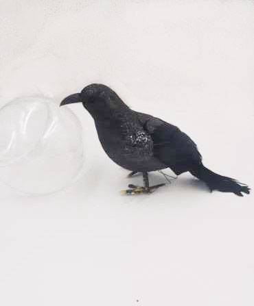 Crow