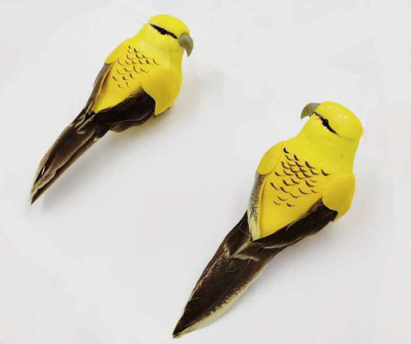 Bird