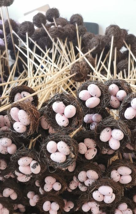 Bird Nest Egg
