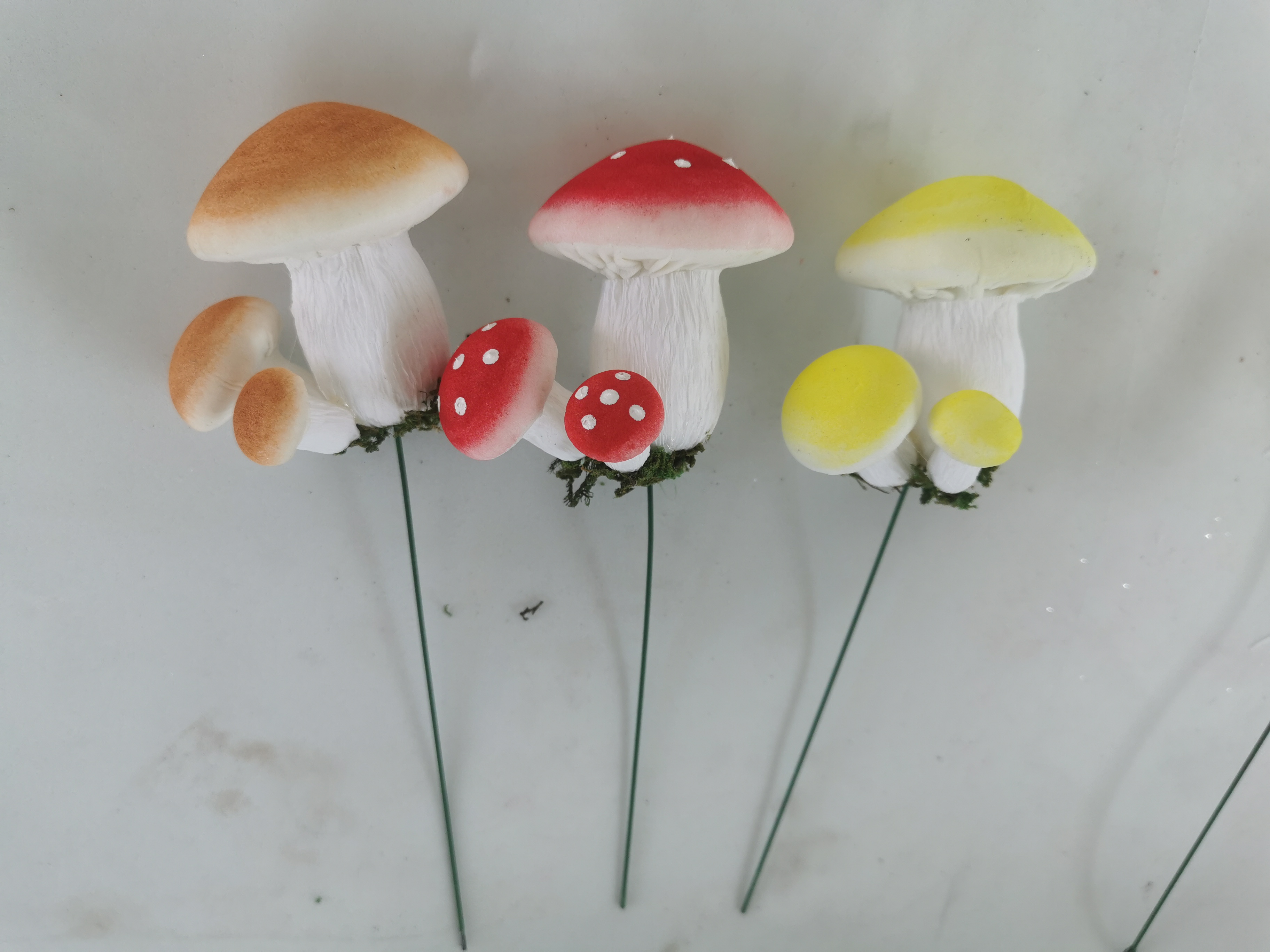  Mushroom Combination
