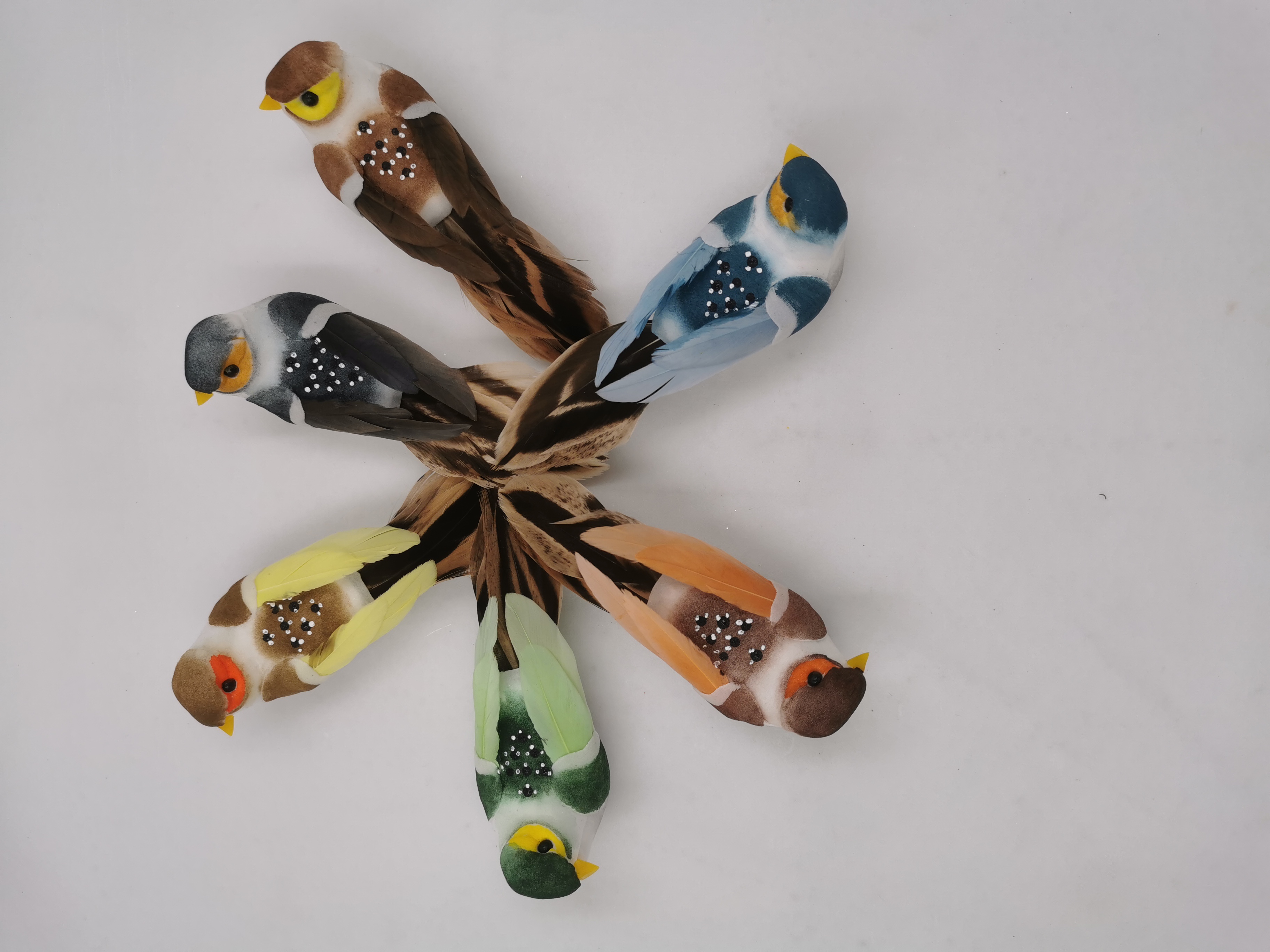  Bird