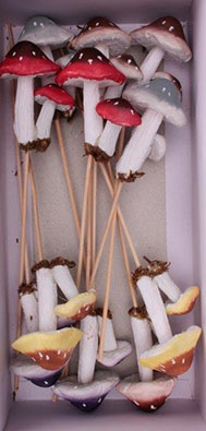  Mushroom Combination