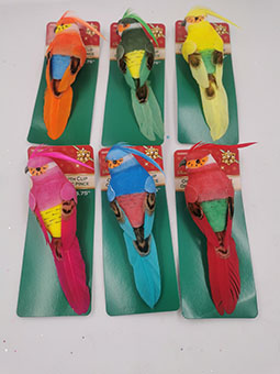 Parrot