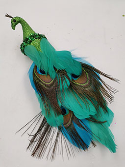  peacock