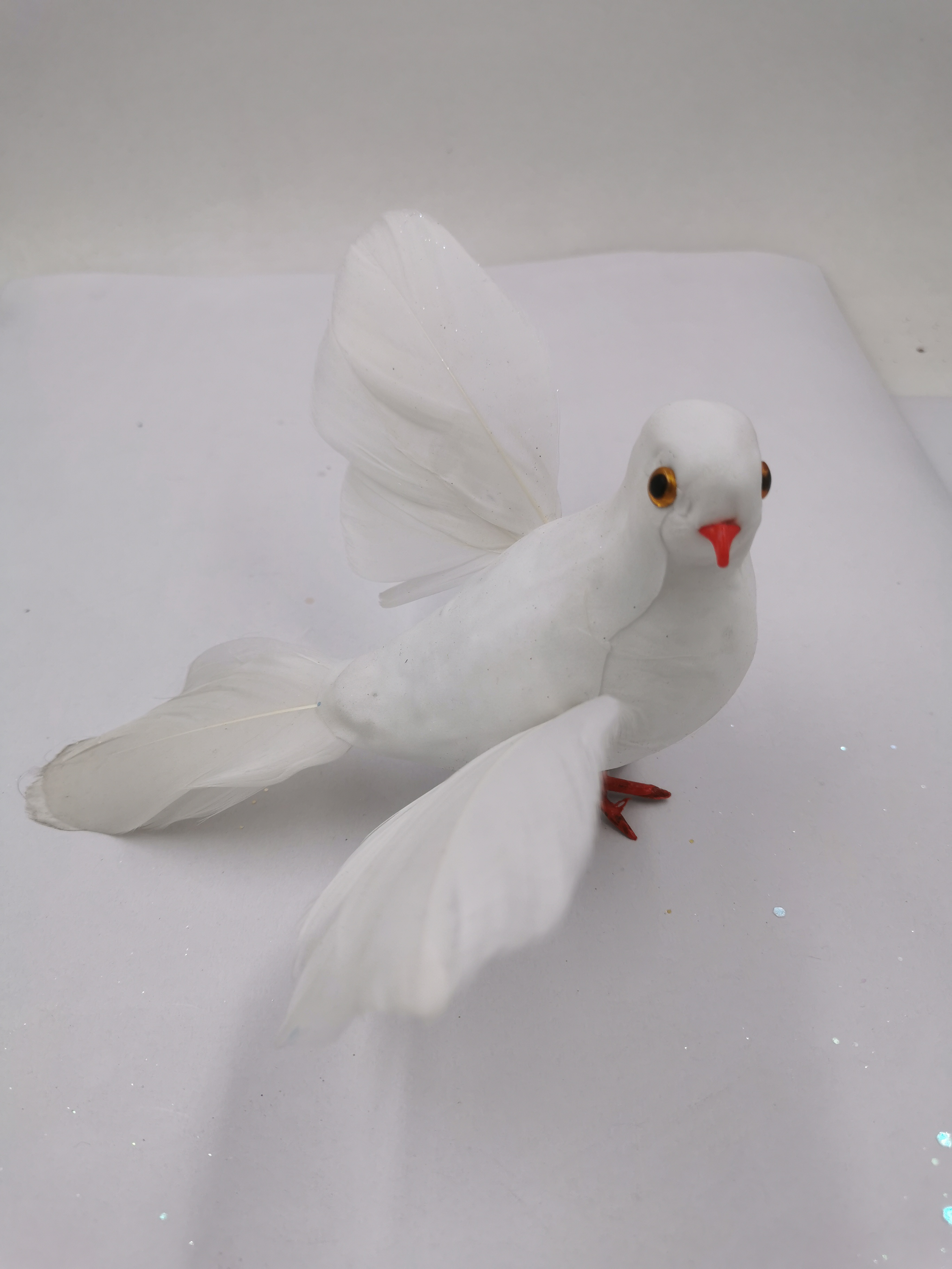 白鸽