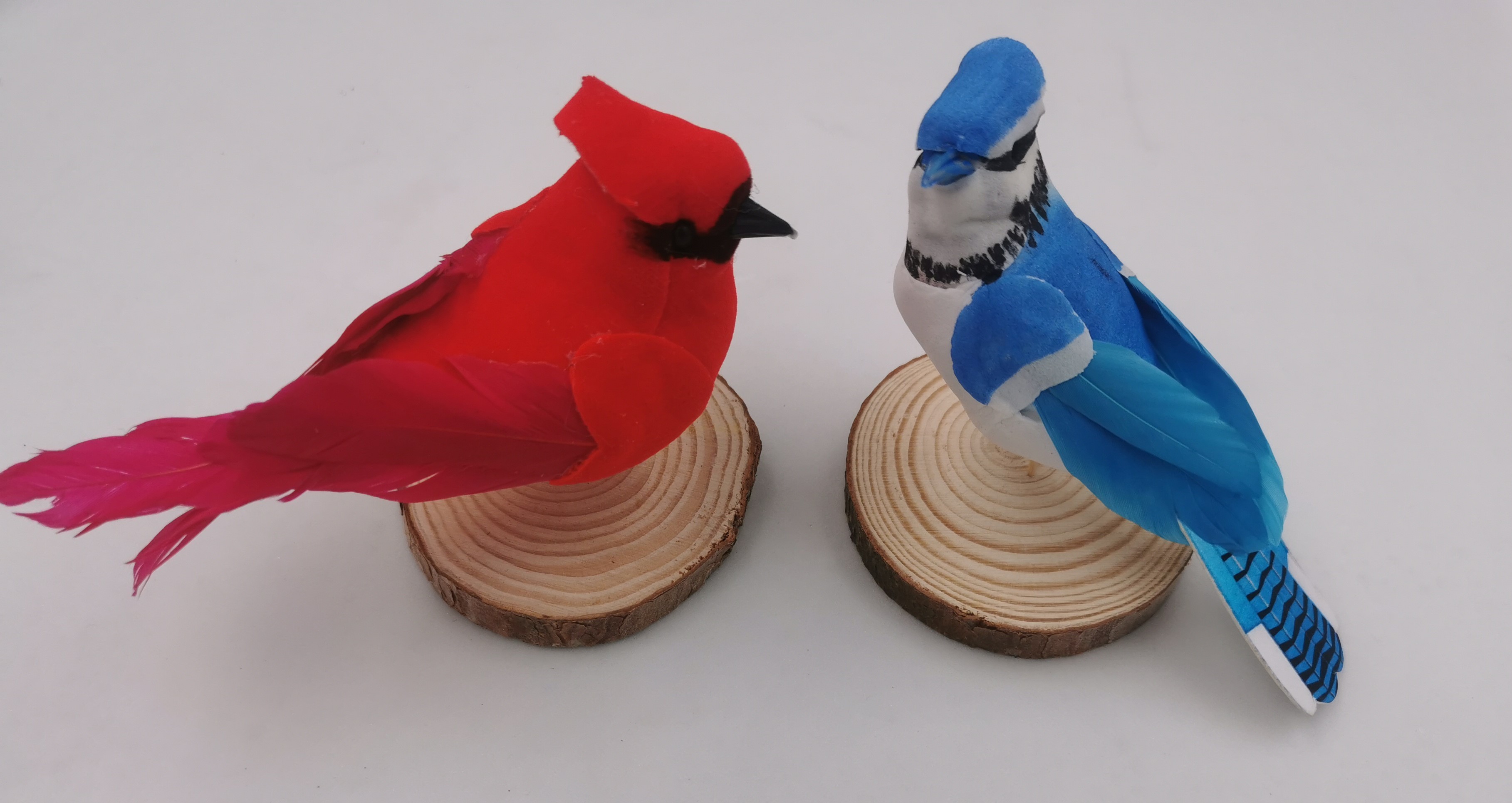 red and blue cadinal decoration